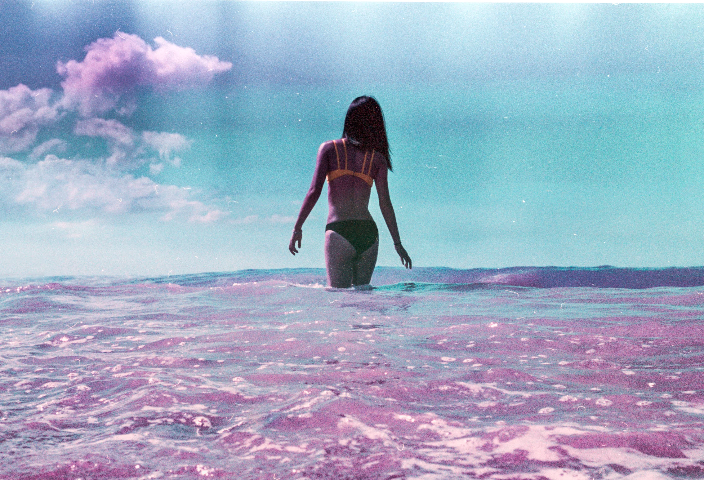 Amethyst Shore