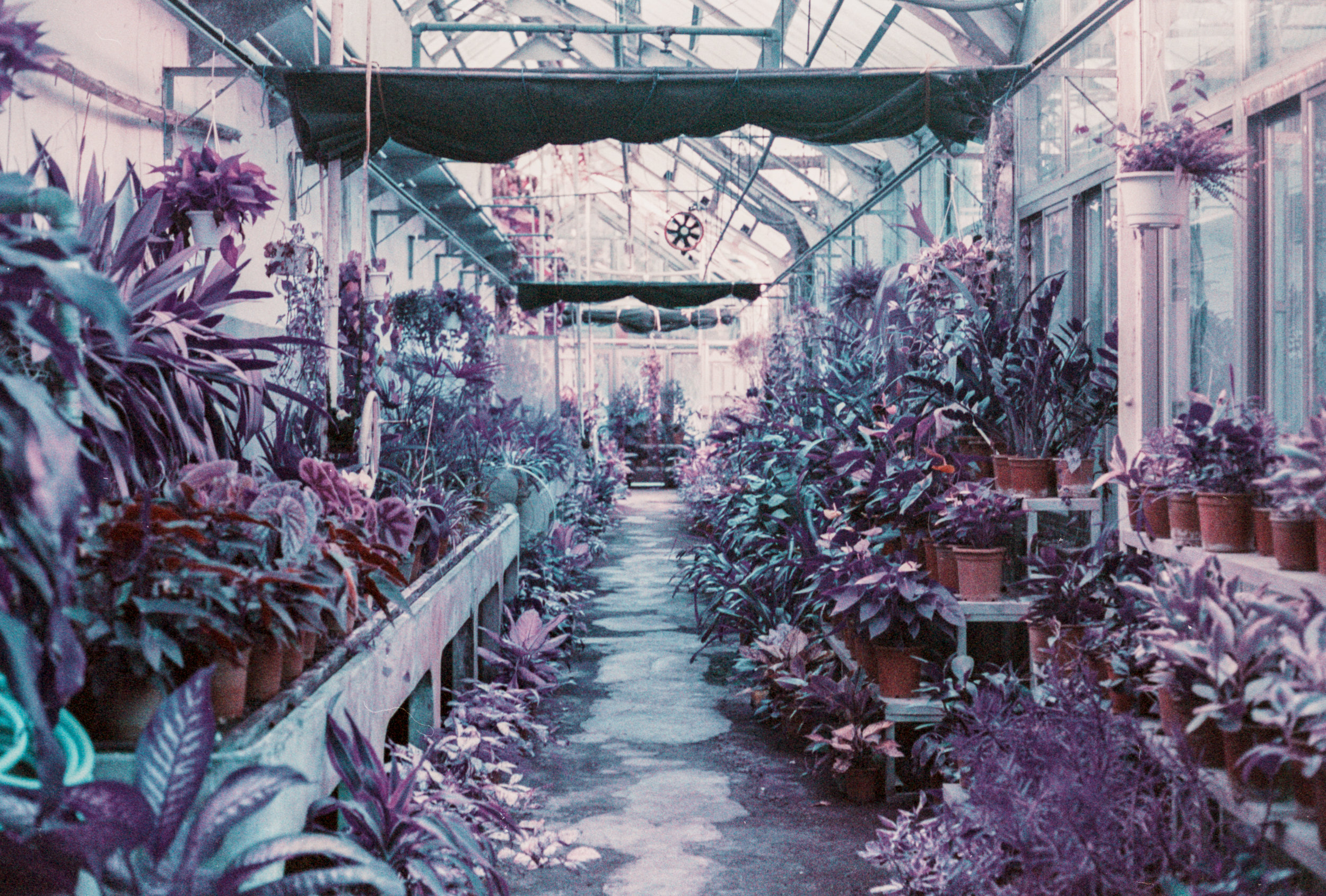  Greenhouse 