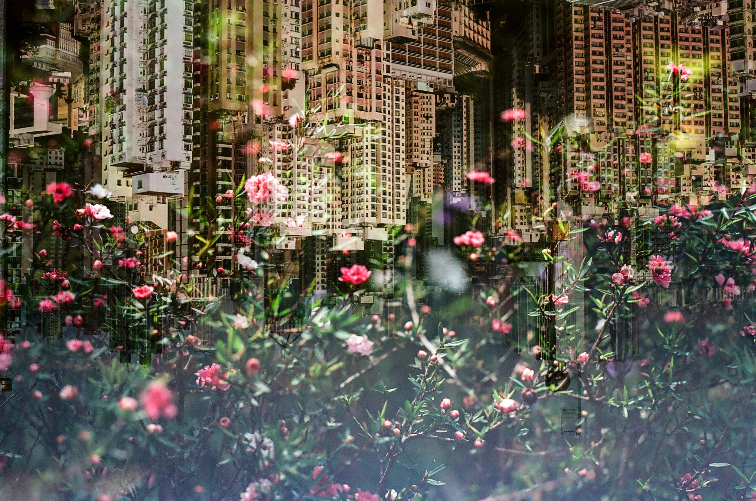 07290025.jpg