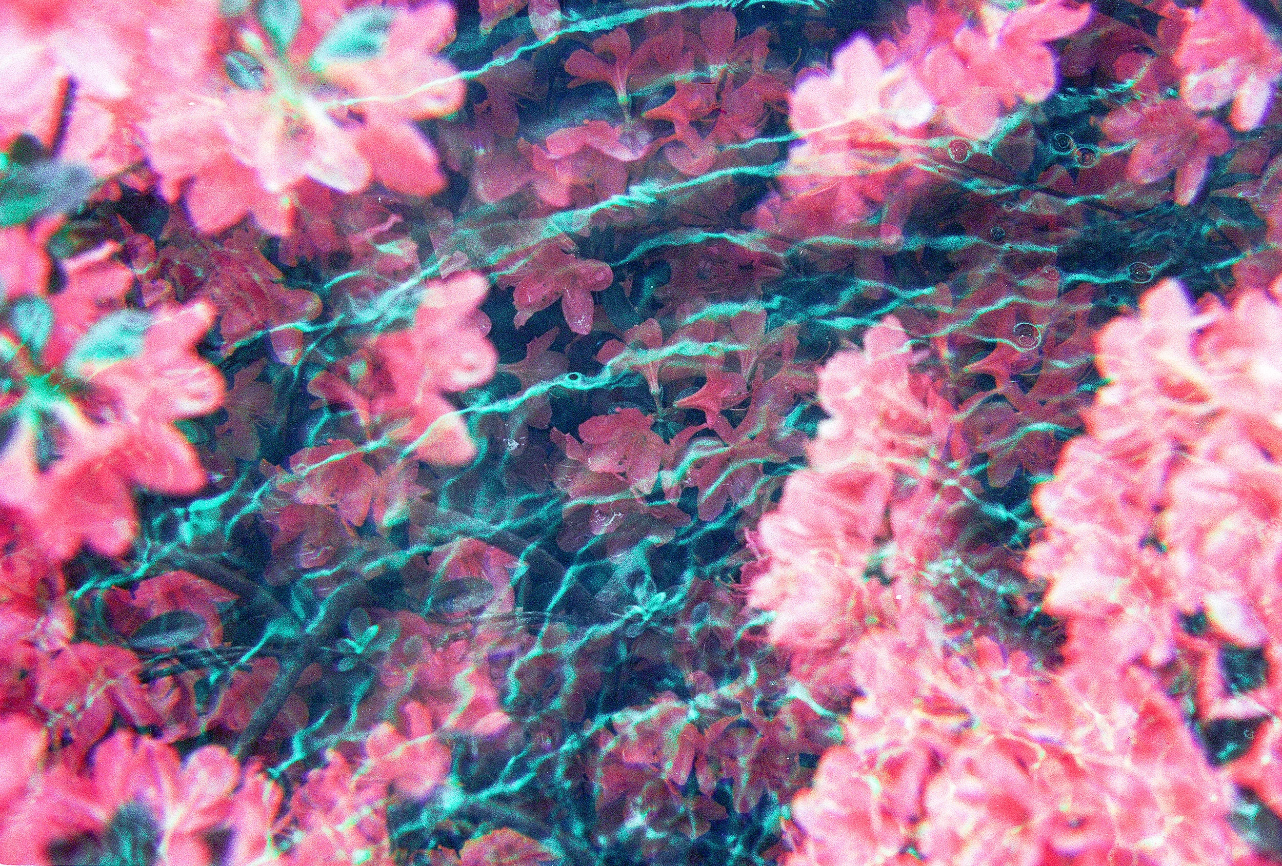 Vapor Pools