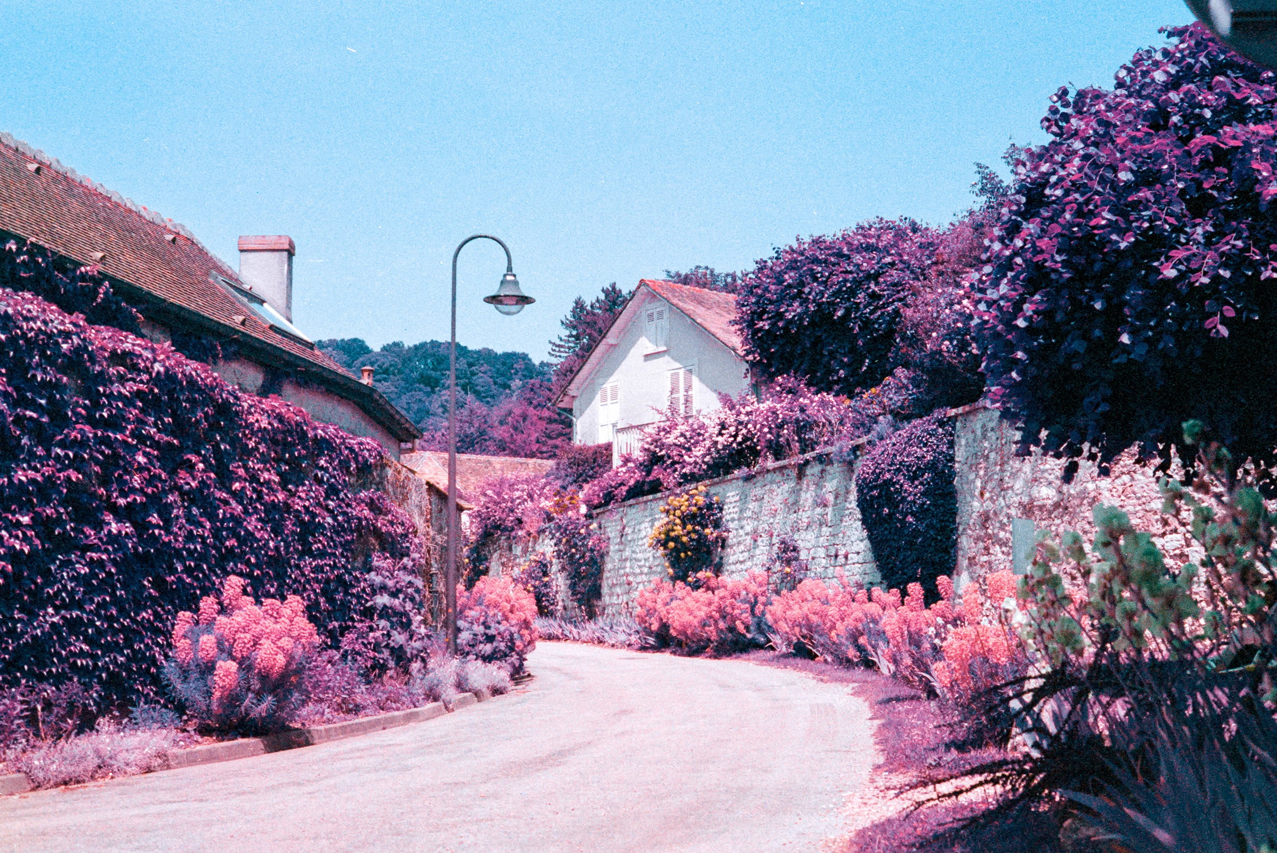 The Artist’s Road