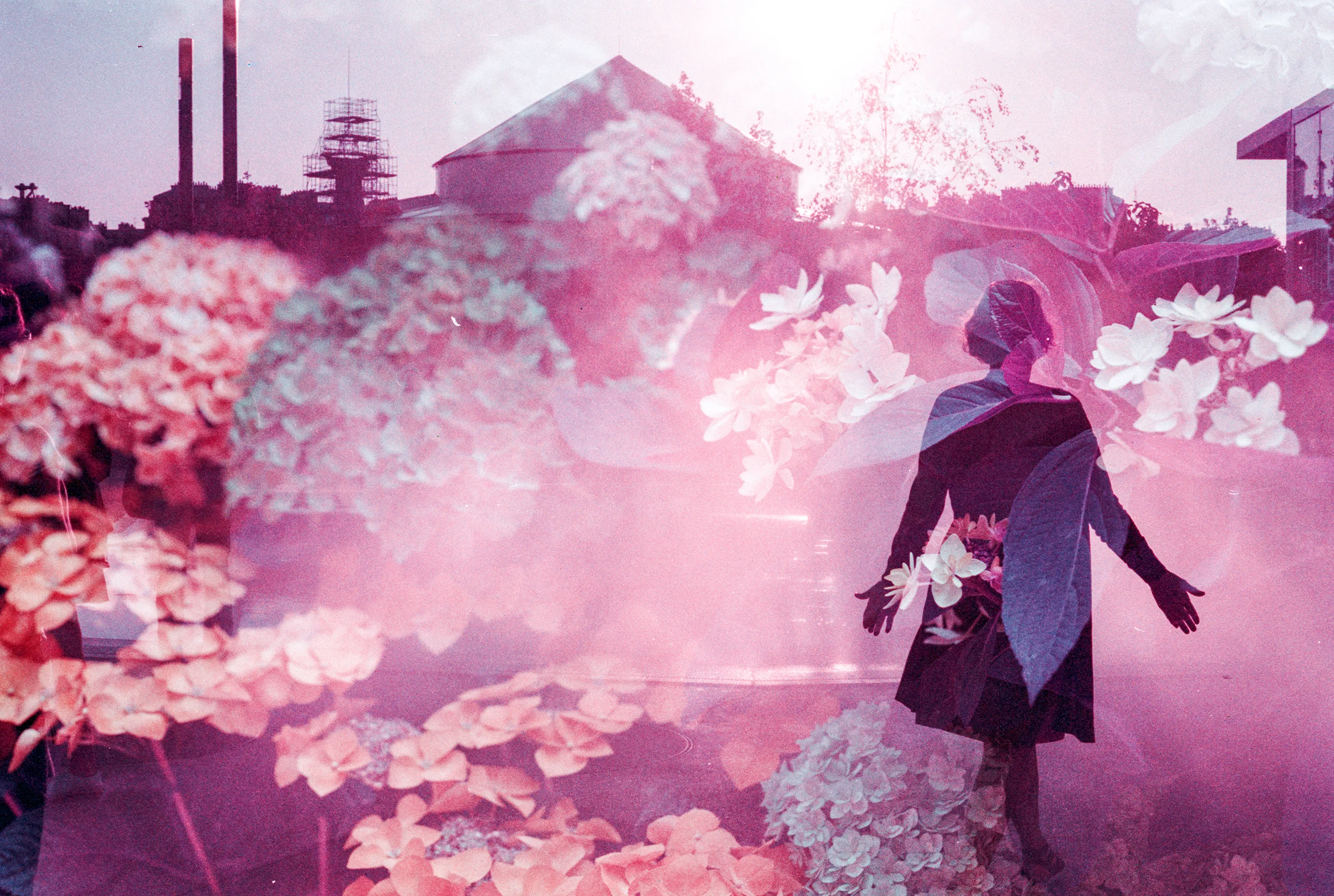 The Dream Ends, and the Fog Clears