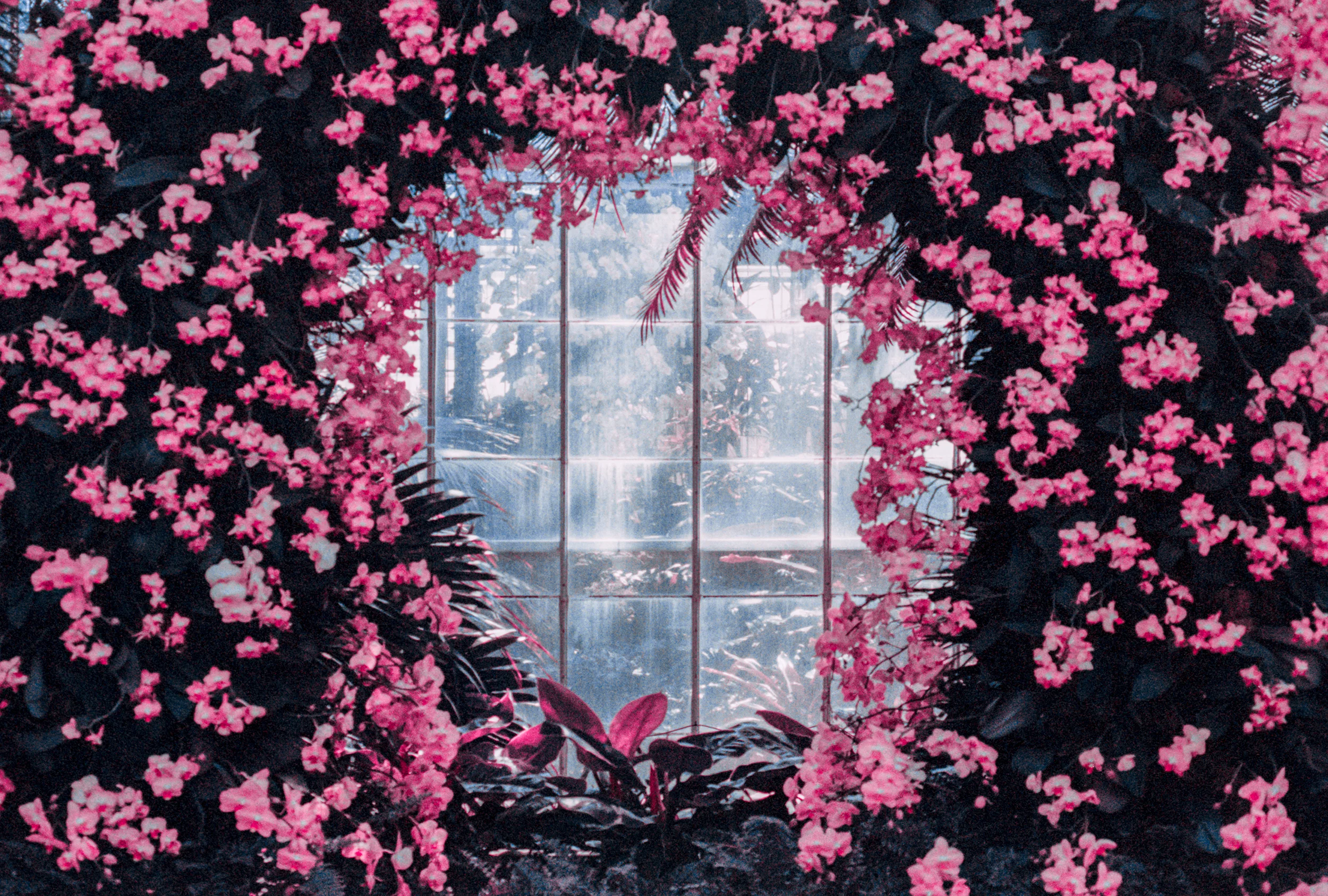 Garden Window