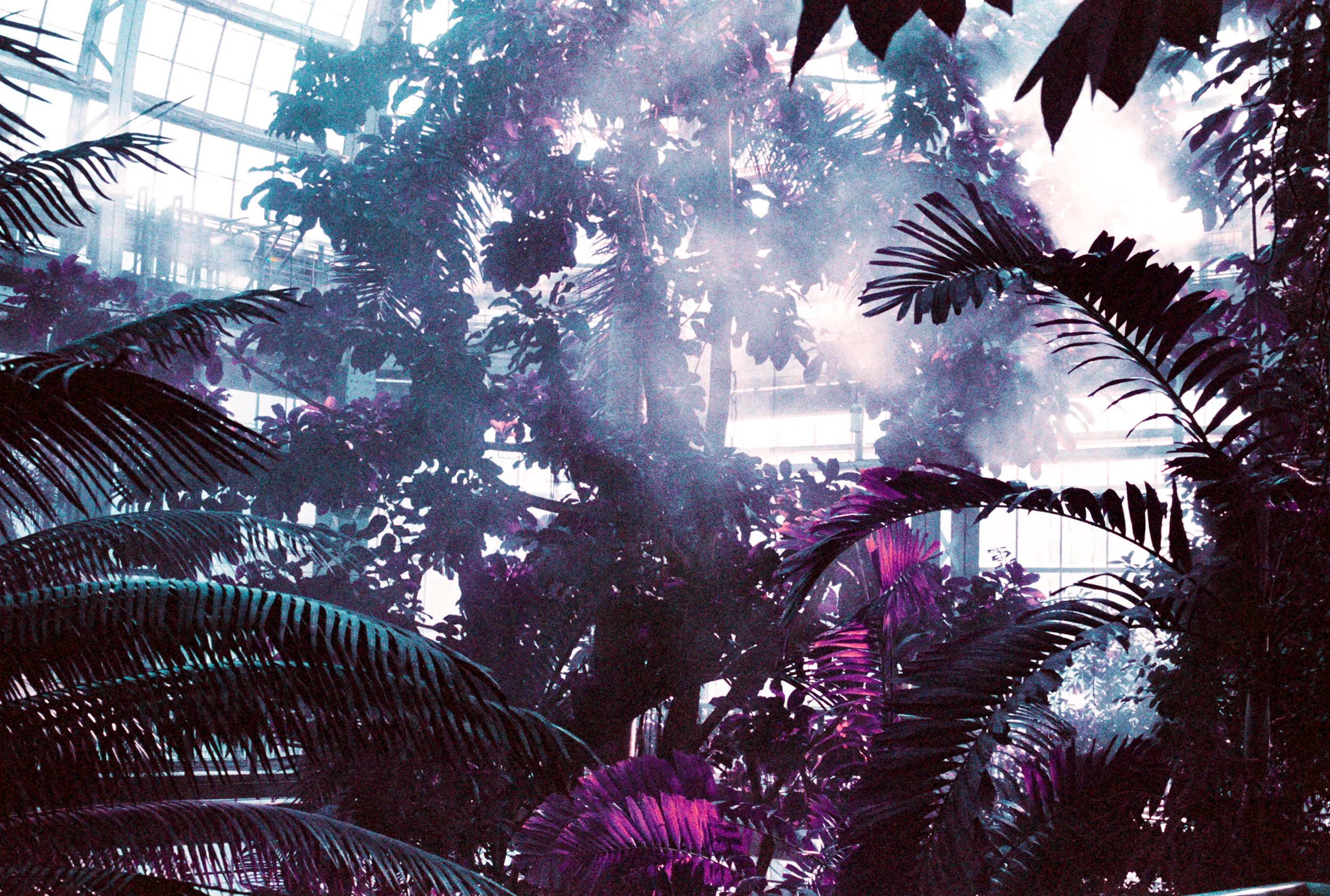 Rainforests of Neptune