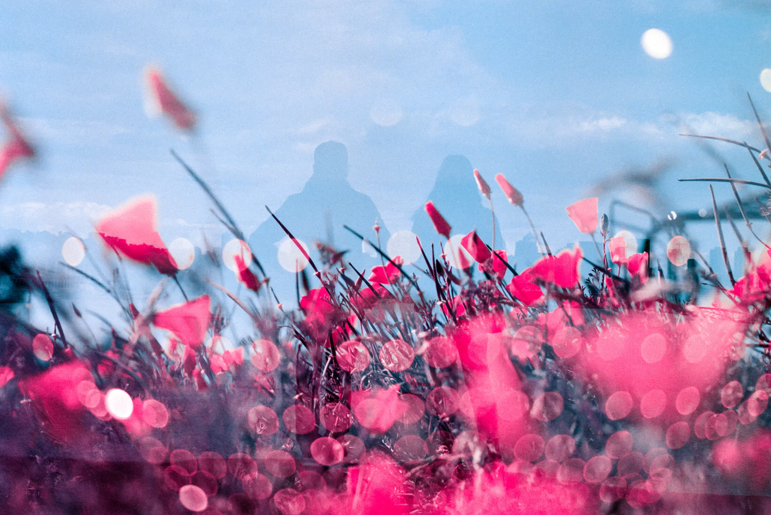 In Fields of Ruby