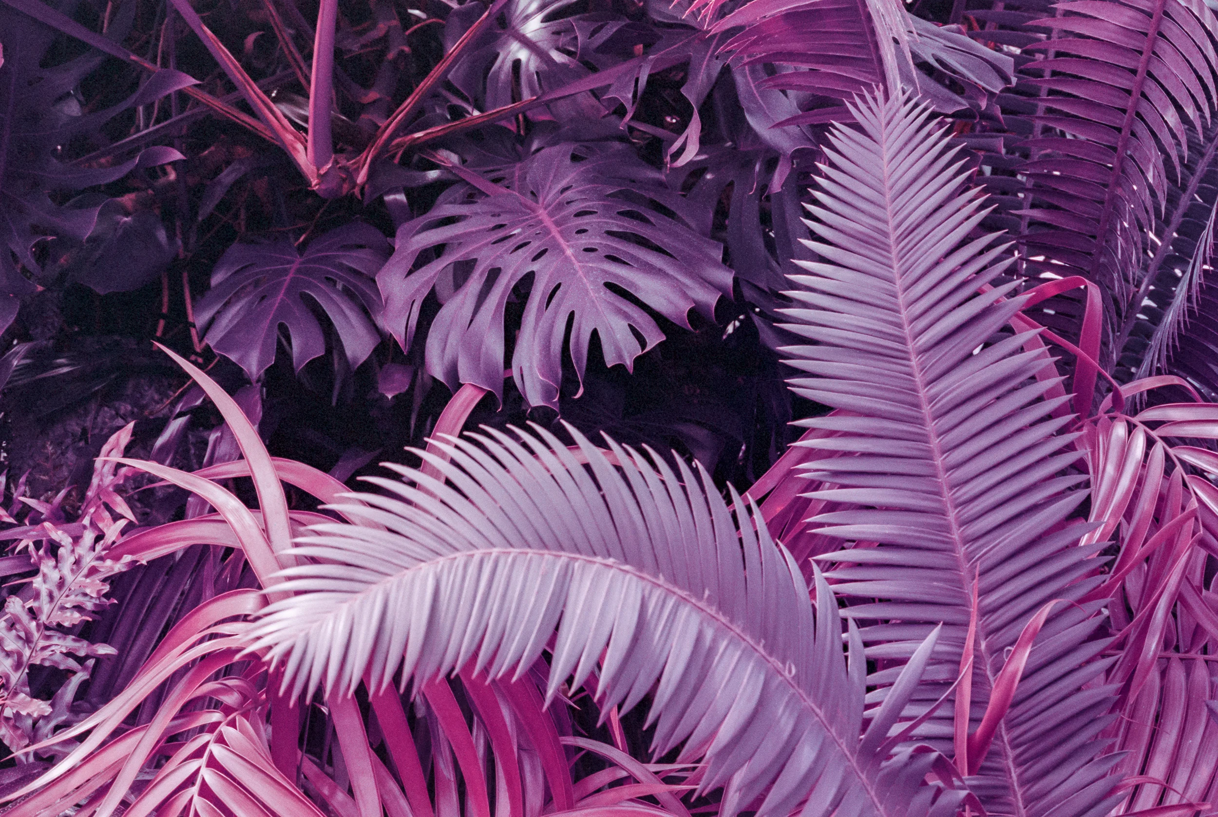 B-Side # 51