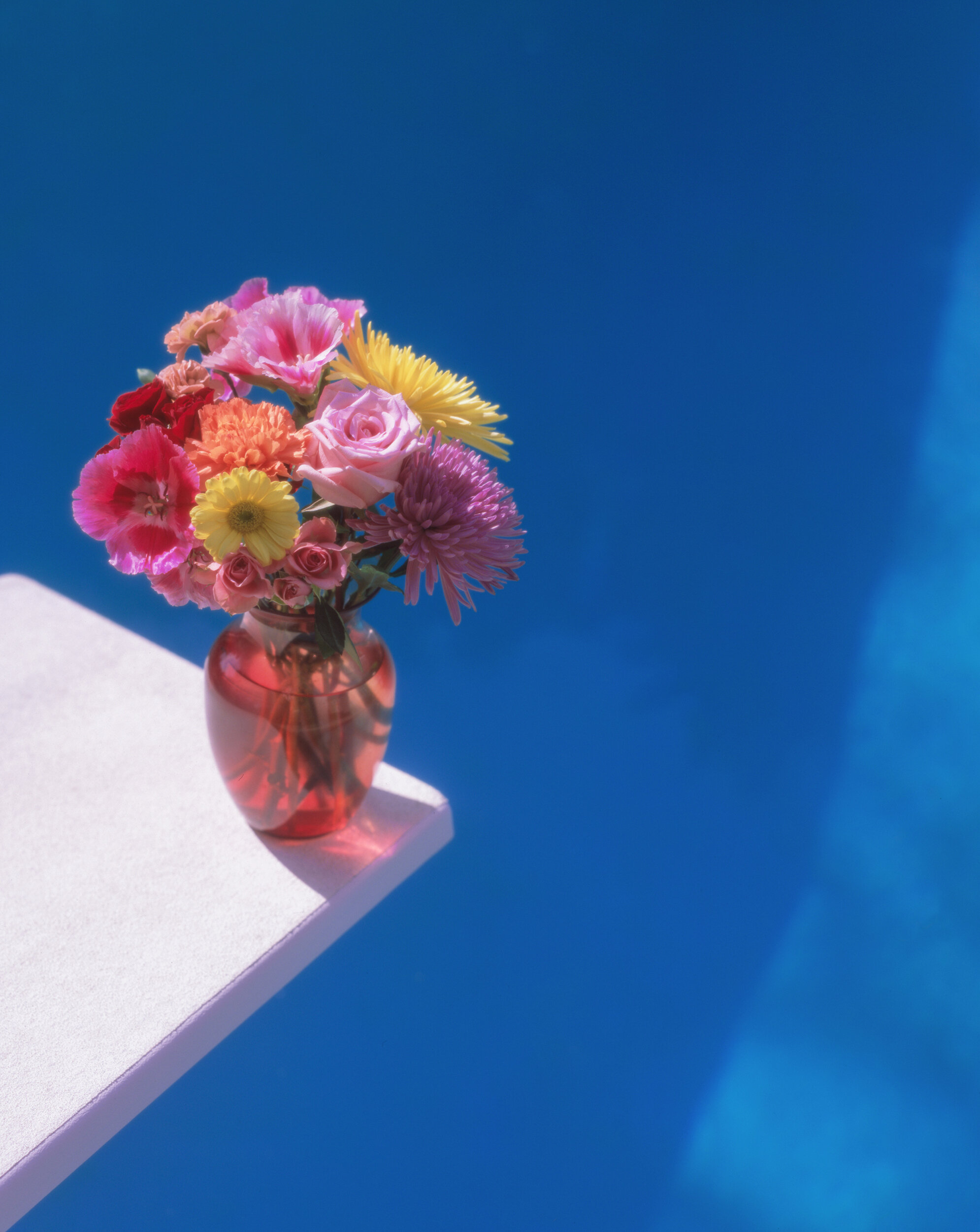  Swimming Pool Still Life 