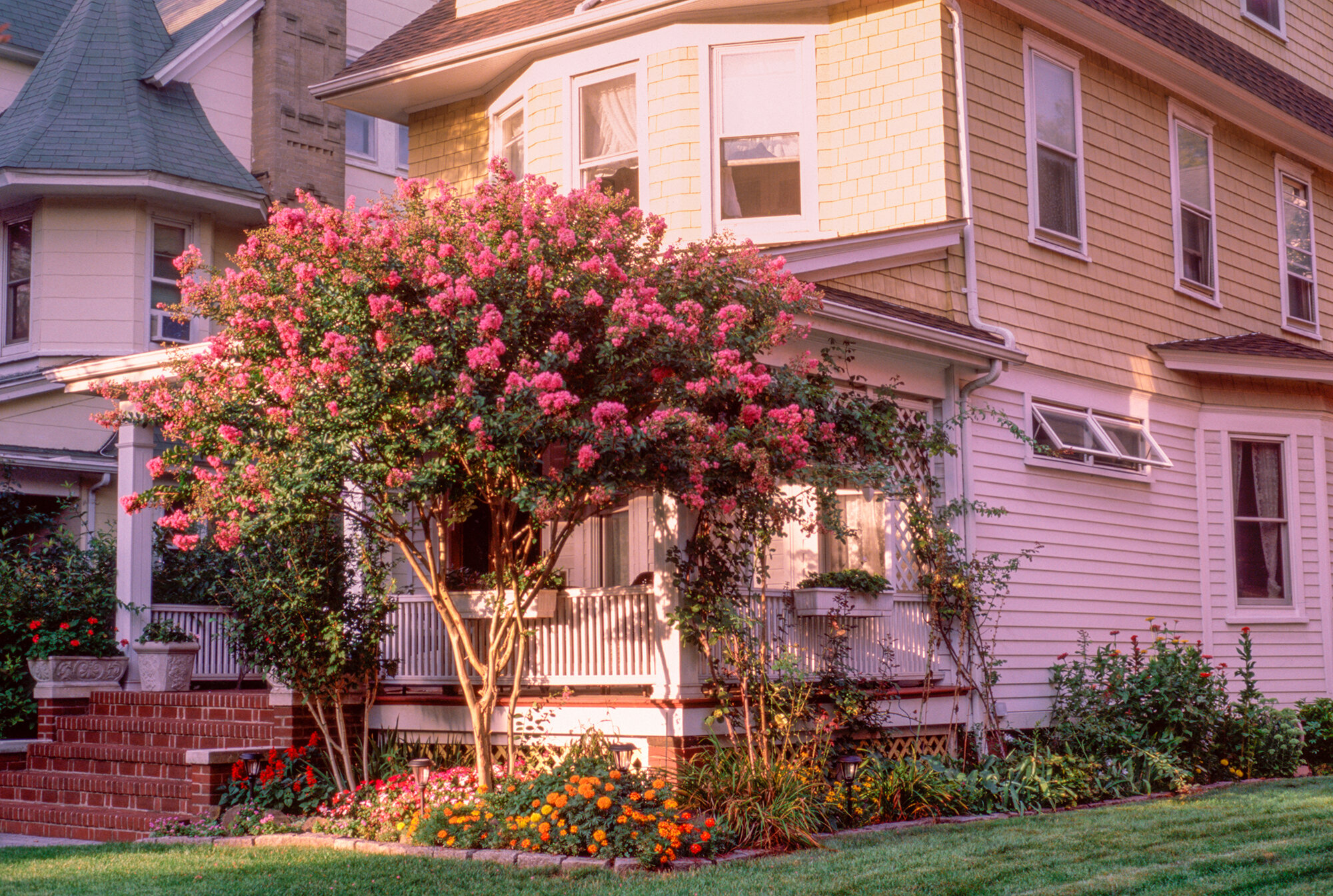  Brooklyn Bloom 