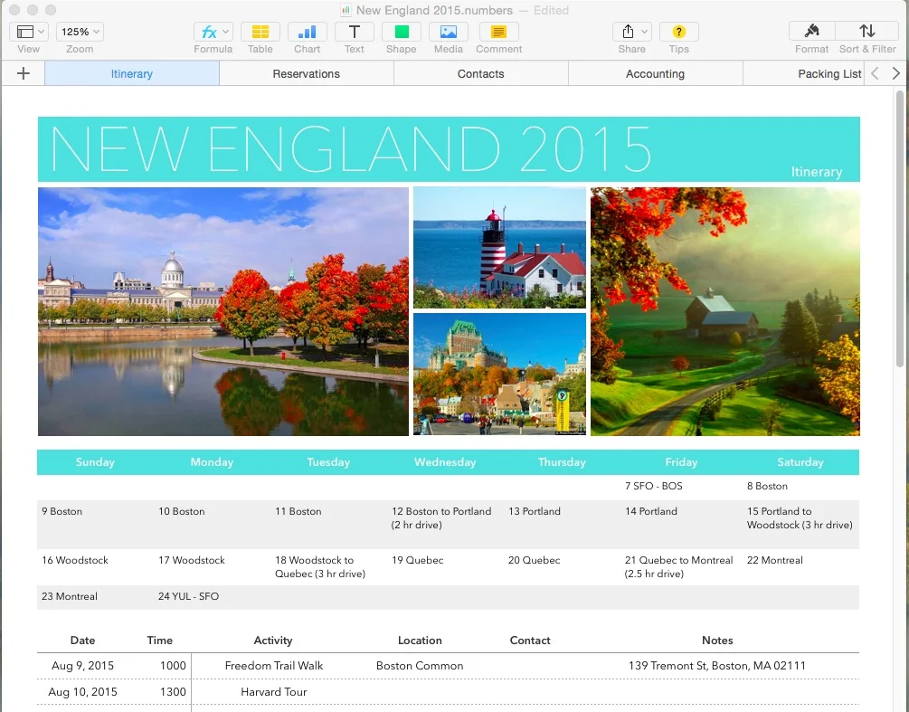 iwork numbers has a good travel planning template i’ve been using since the ’09 version. the most recent template is just plain gorgeous.