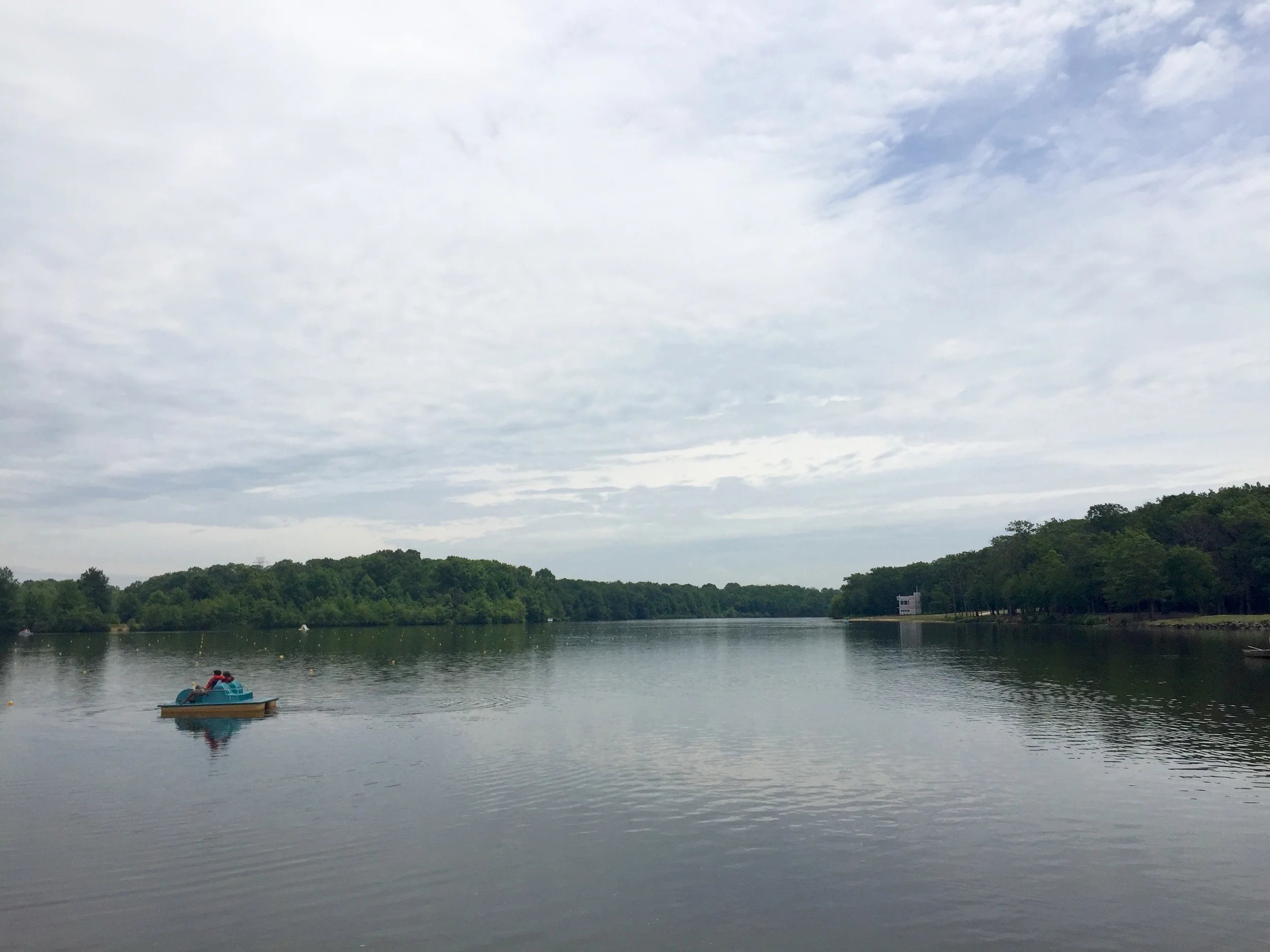 paddle boats are back in season, mercer county park