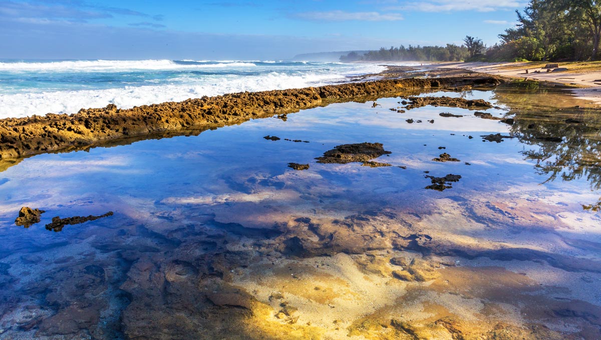 North Shore tide pool (© Milton Wheeler )