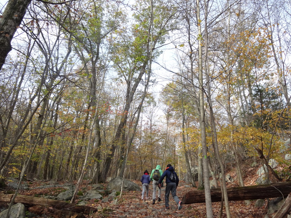  Fall Hikes in New Jersey 