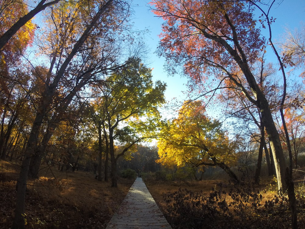  Fall Hikes in New Jersey 