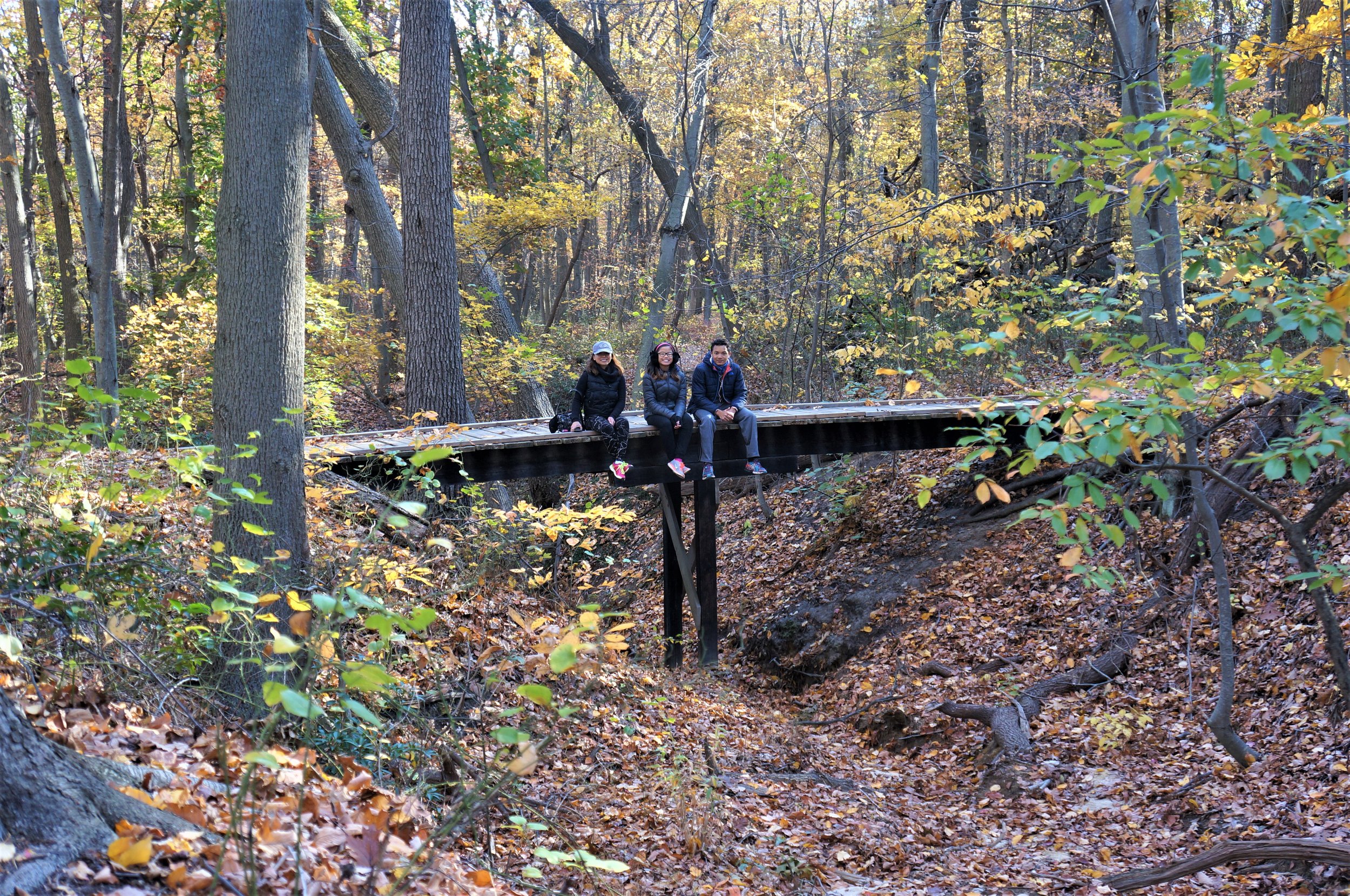  Fall Hikes in New Jersey 