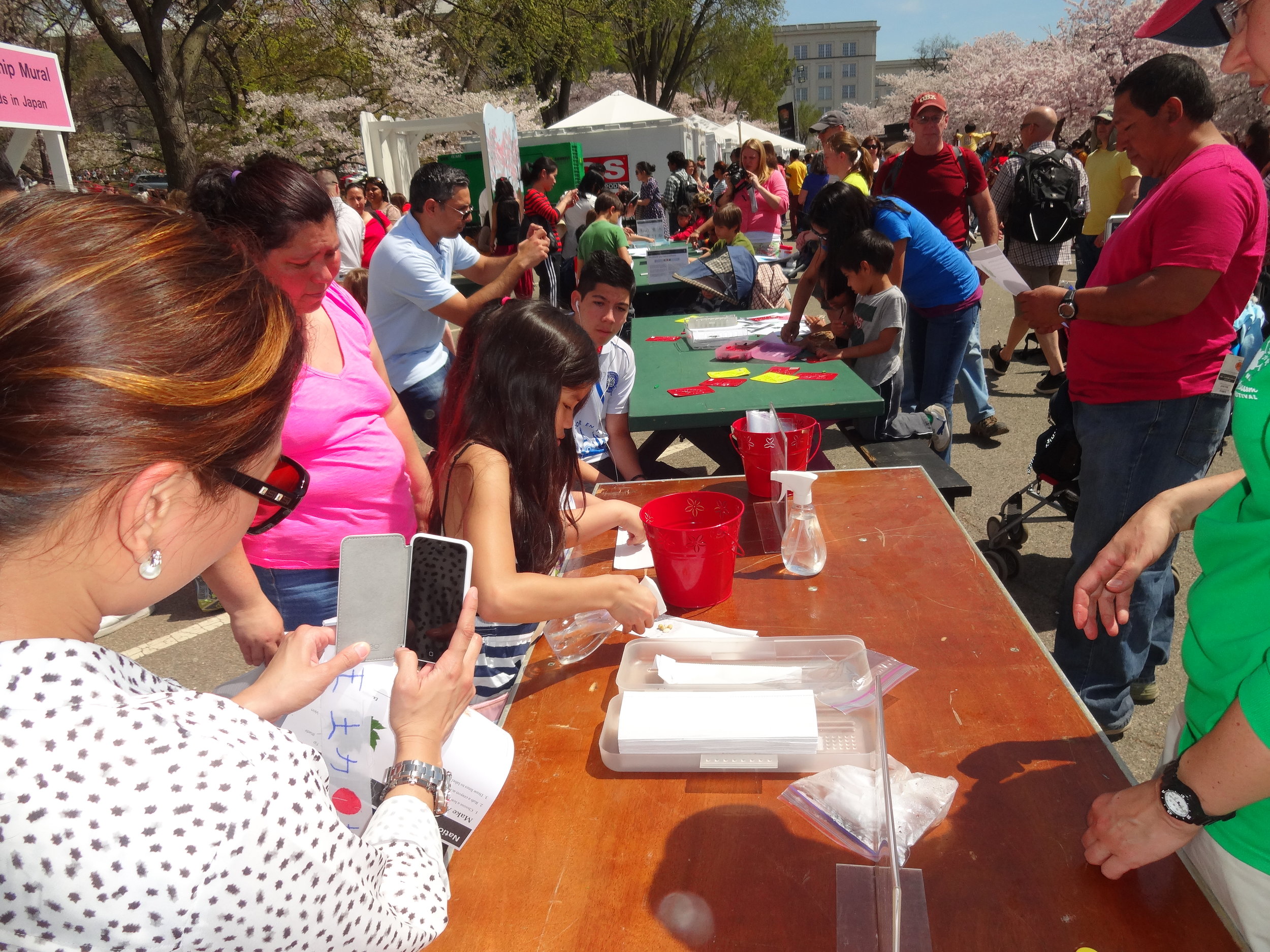 Get There Get Lost at the National Cherry Blossoms Festival 2014