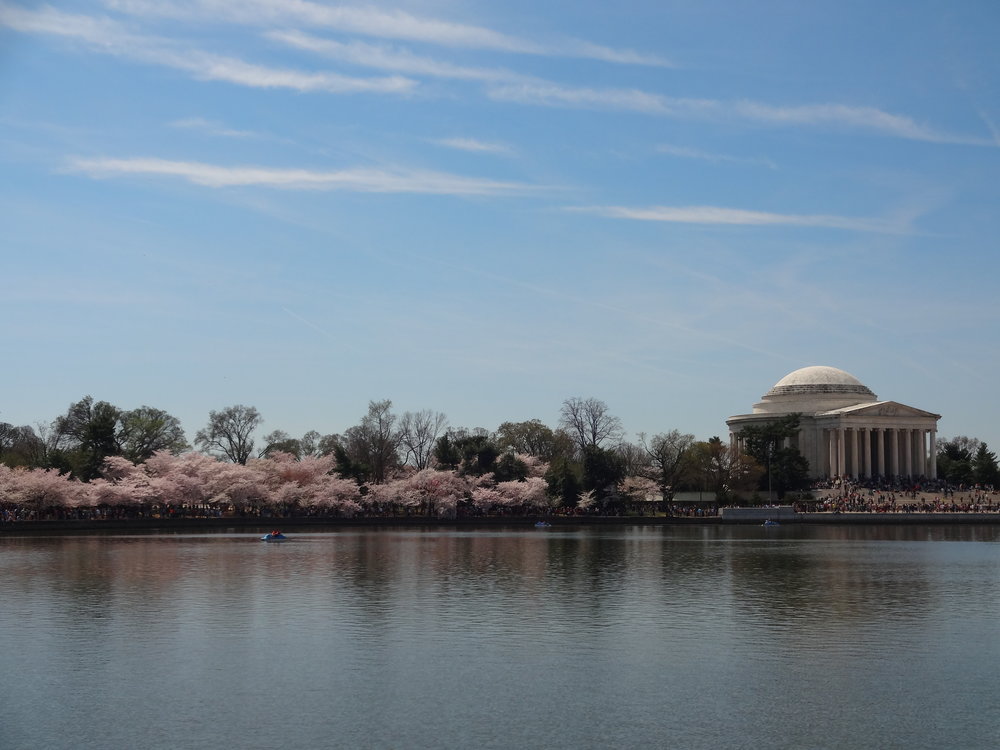 Jefferson Memorial / Tidal Basin