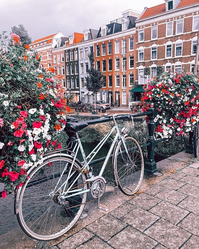 #Amsterdam #biangtravels⠀
⠀
Another day, another 🚲+🌸=❌❌❌. 😉⠀
.⠀
I&rsquo;ve spent the last week organizing and backing up photos from the last decade. 😥 Still not done because the workload is comprised of 3 cameras from me, and then phones from 3 