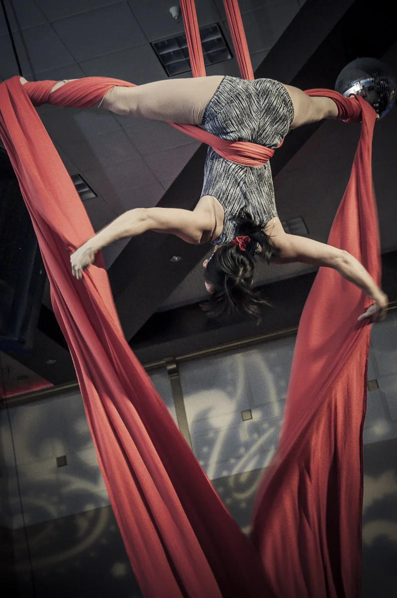 Aerial Silk