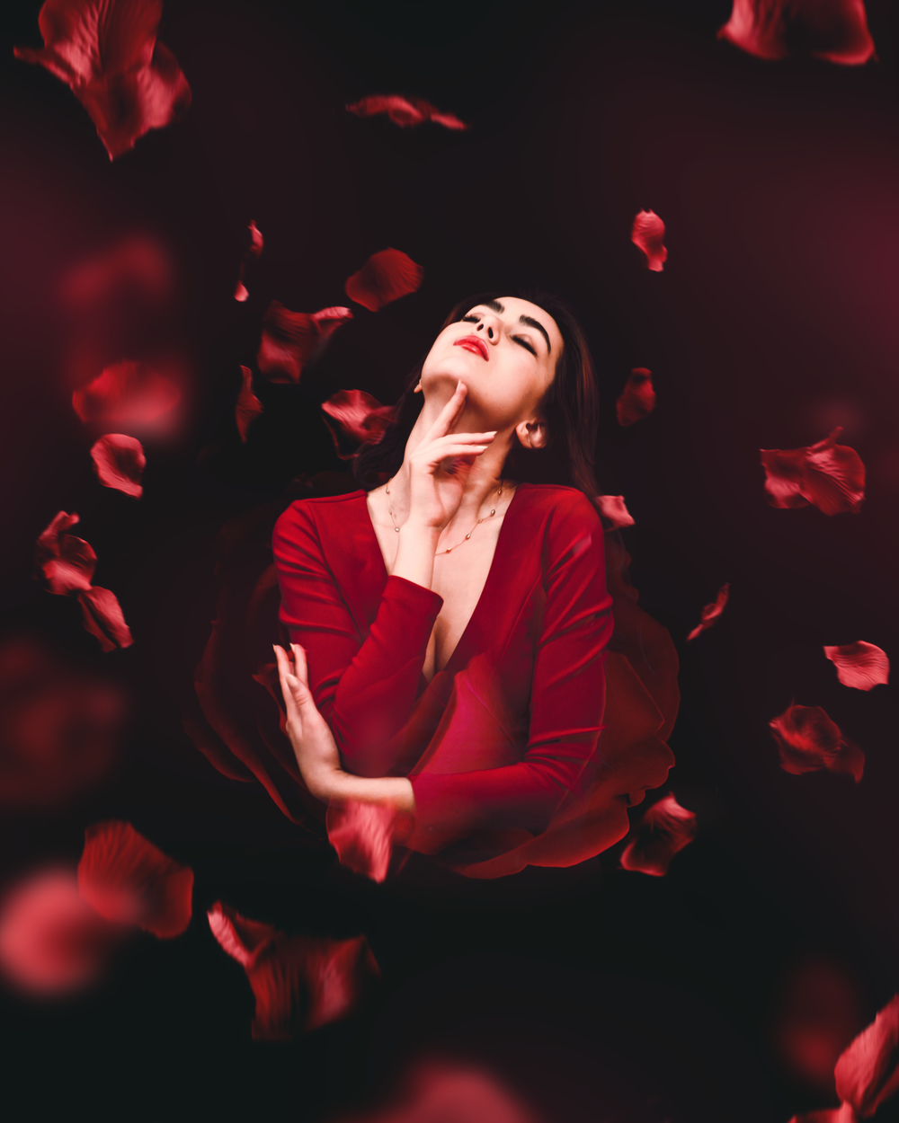 Roses+Fall.jpg