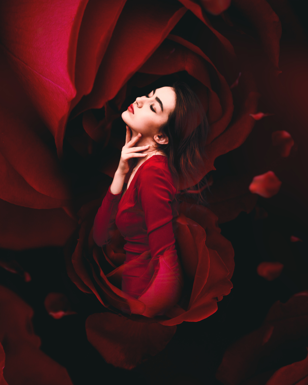 Wrapped In Rose