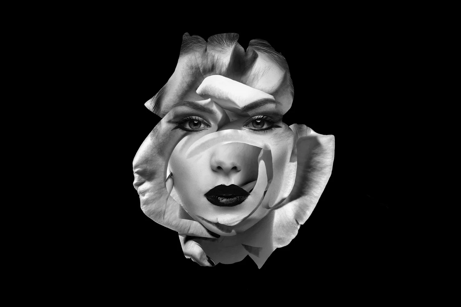 Rose+Impressionx.jpg