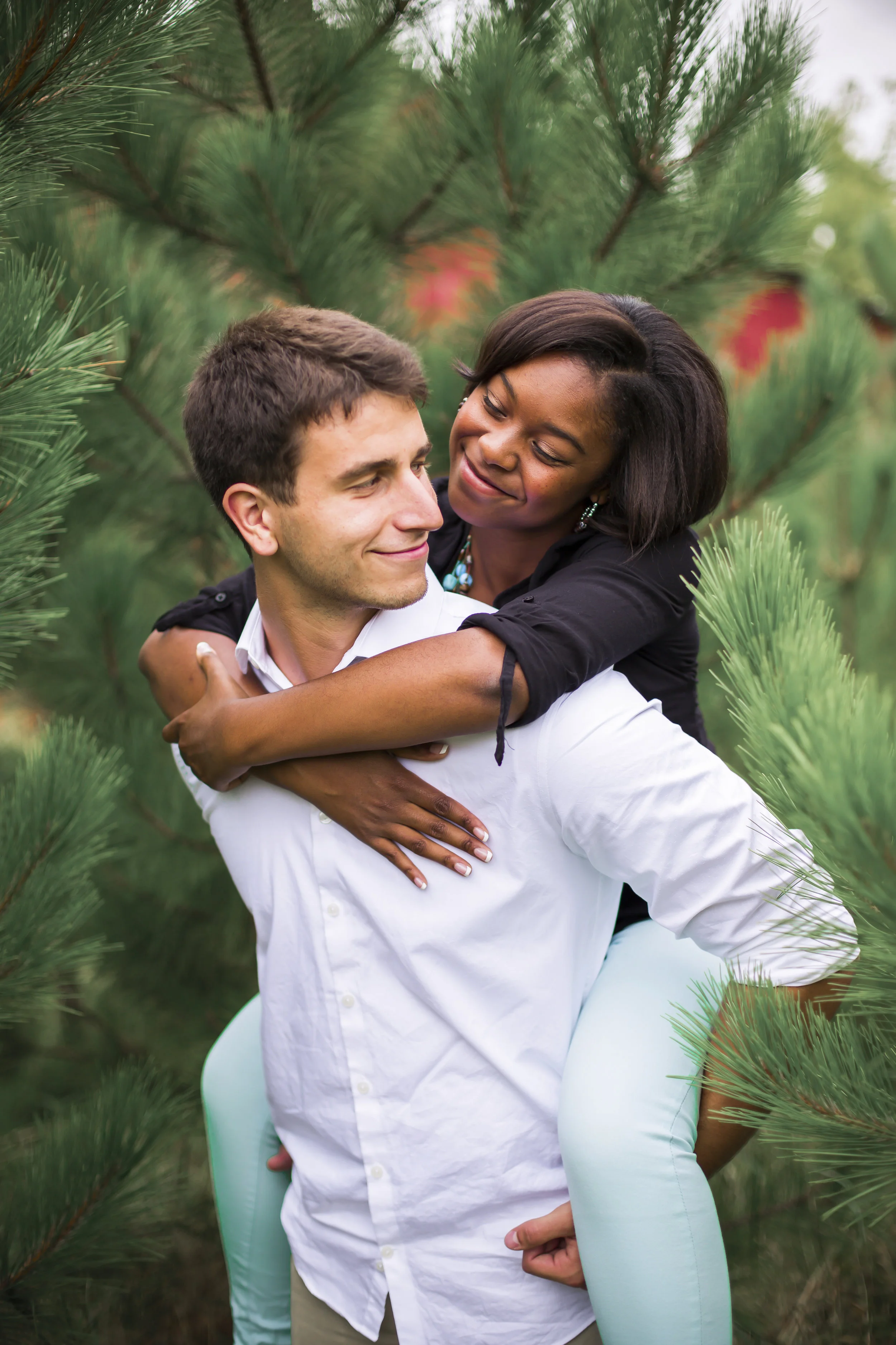 Love Among The Pines