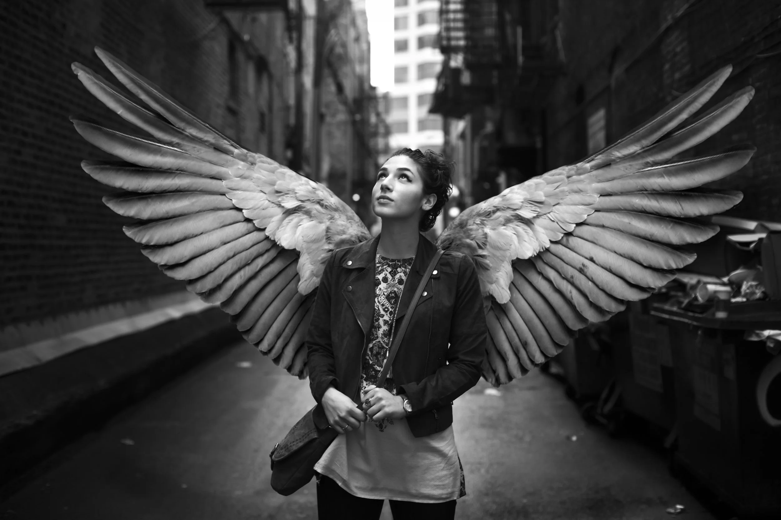 Wings.jpg