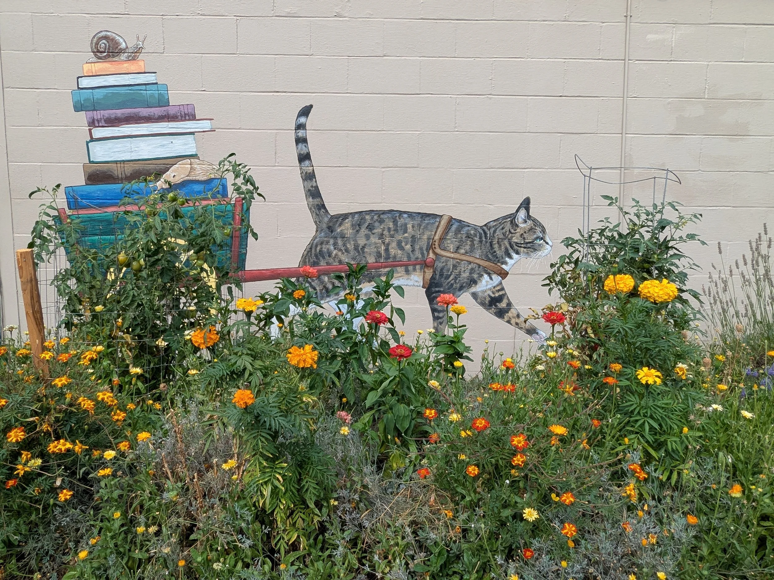Cat in the Flowers.jpg