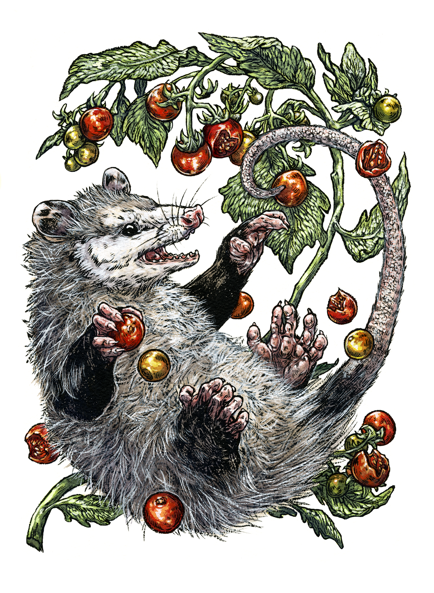 Pop-Up Art Sale by Emily Poole