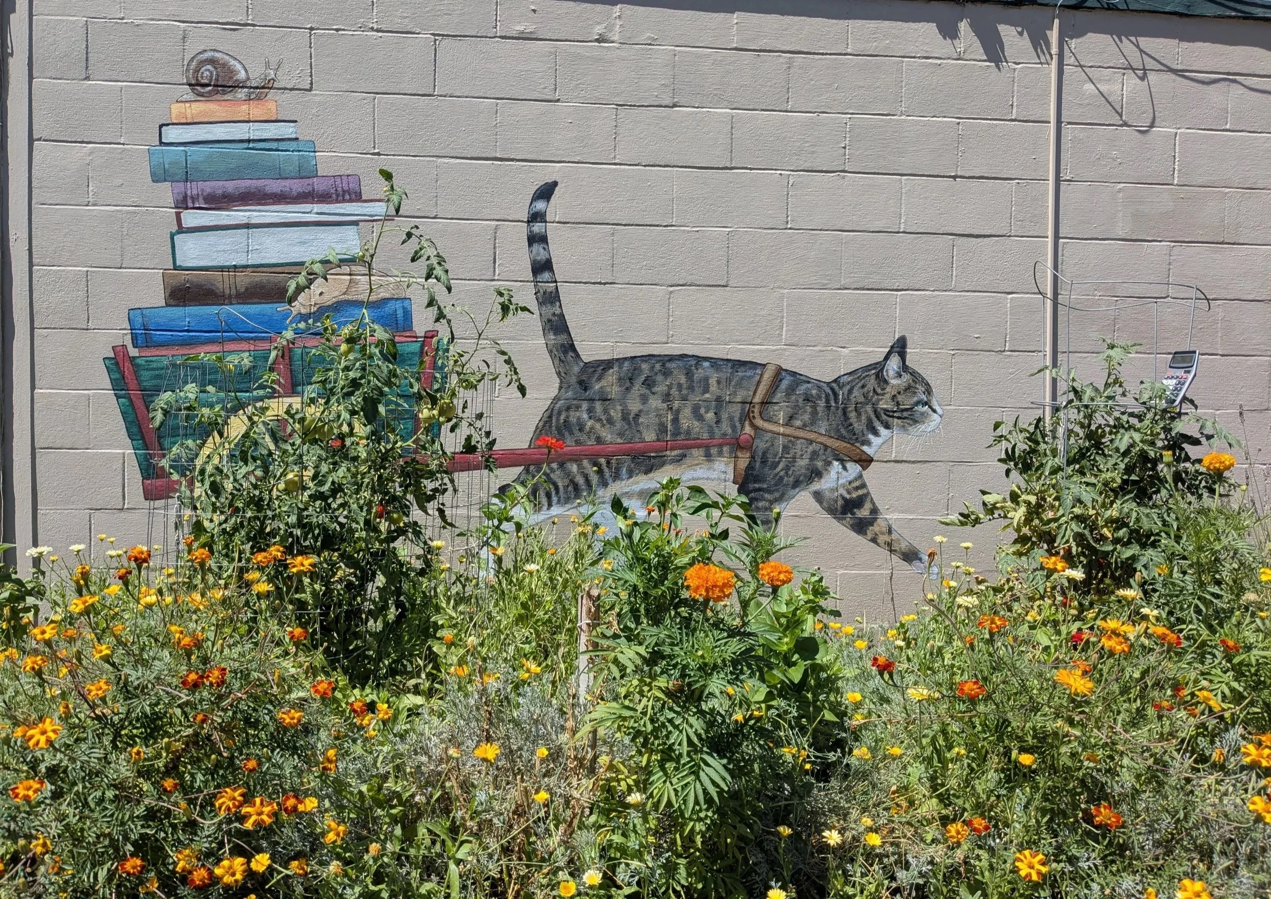 Cat and Garden wide.jpg