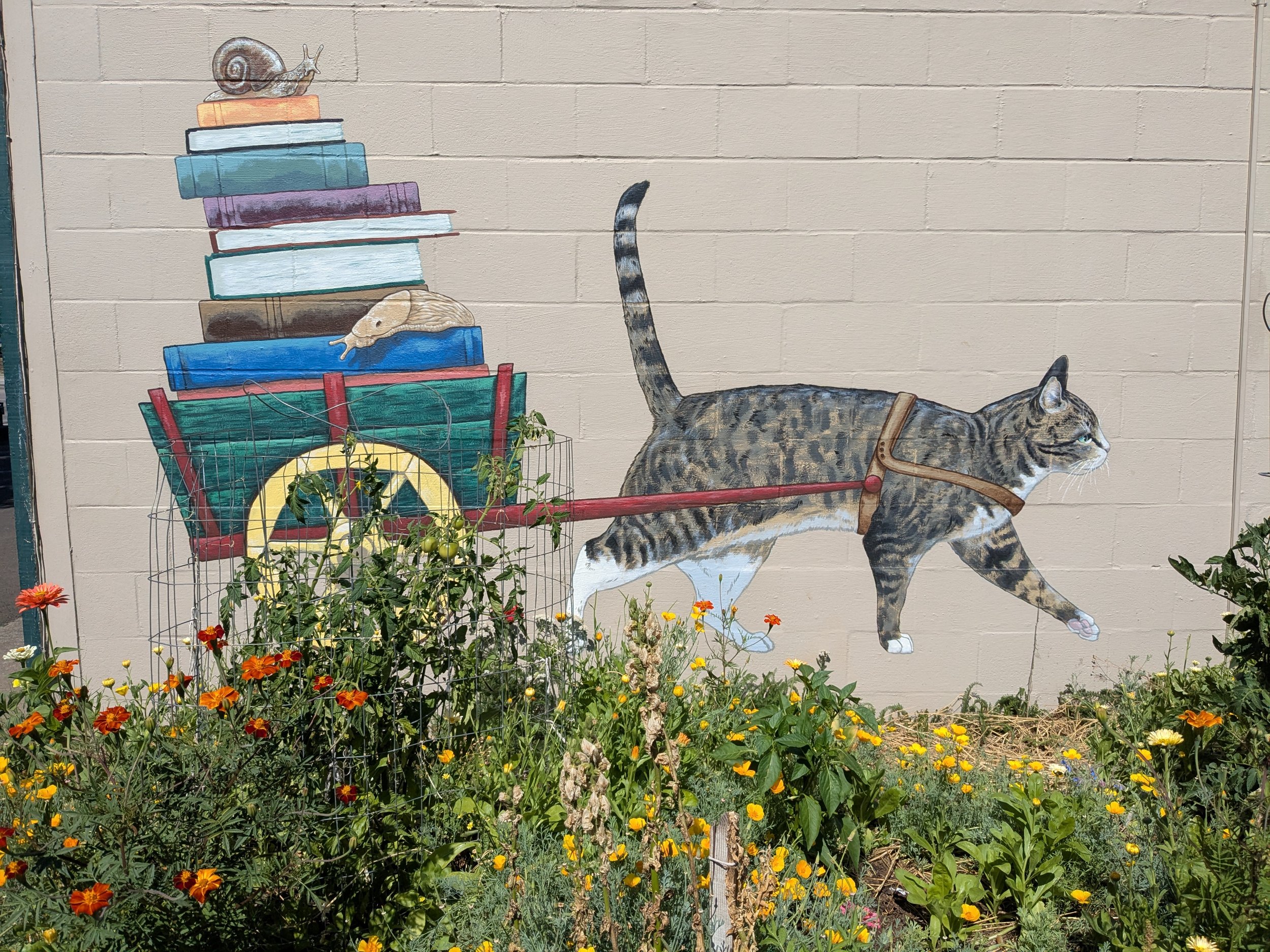 Cat & Garden Close.jpg