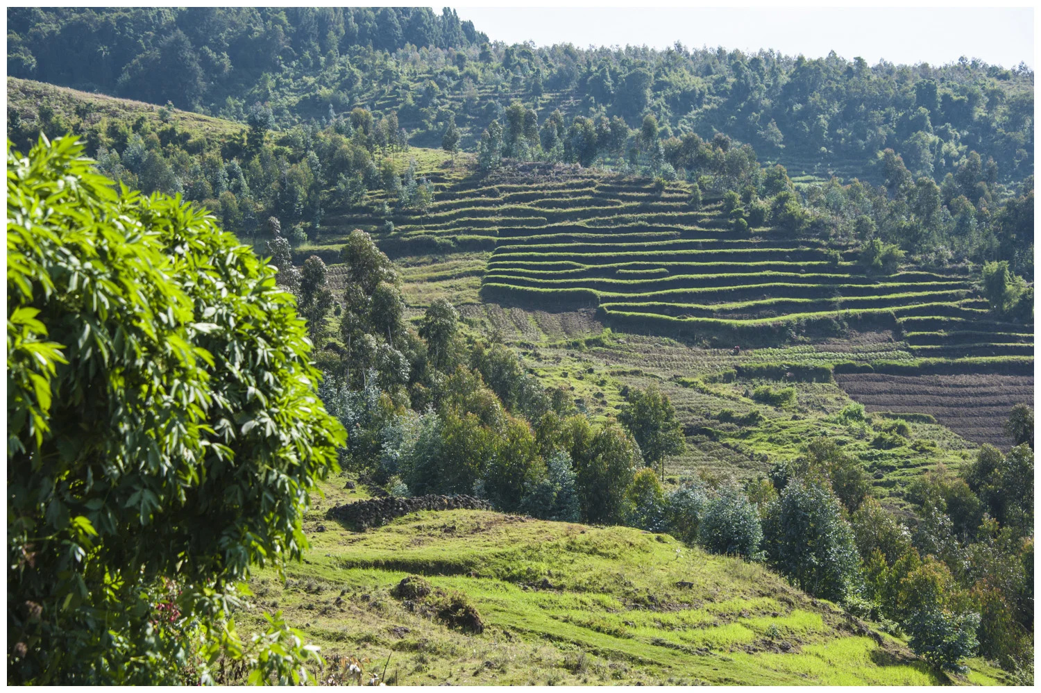 aoc-rwanda-4666.jpg