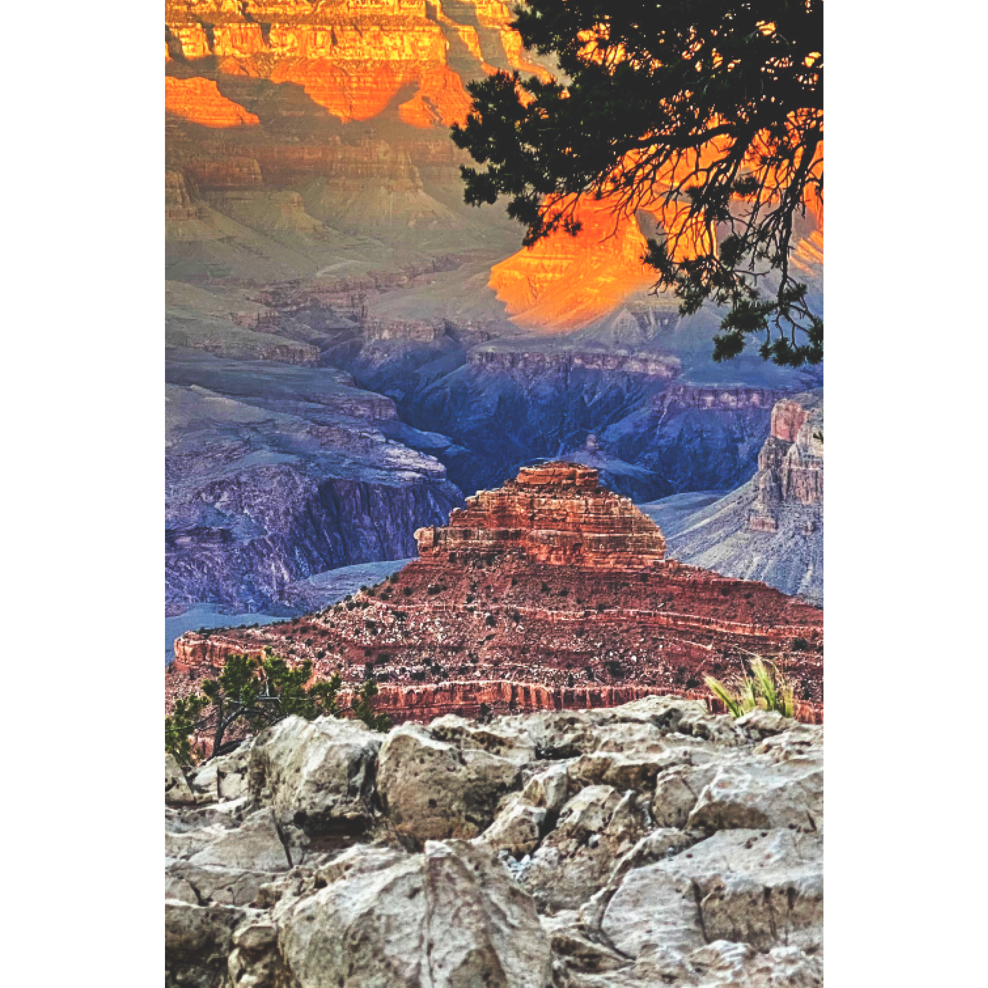33_Yaki_Point.png