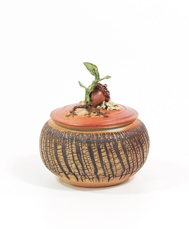Spring sprouts have yet to emerge here in Minnesota but the wait won’t be much longer. I love making these intricate sculptures especially the ones that show potential growth. This oak sprout and the rest of the Forest Floor collection will be on display at the American Craft Council this weekend. Stop by booth 512 to see what’s growing. -
-
-
-
#sculpture #botanicalart #accstpaul #sodafired #ceramics #trees #forestfloor #woodland #oak #grow #nature #shousugiban #shinrinyoku #foresttherapy #pottery #clay #wood #intricateart #botany #dendrology #craftcouncil #umami #container #wilderness #wildernessculture #onthetrail #capturedmoments #handicraft #interiordesign #homedecor