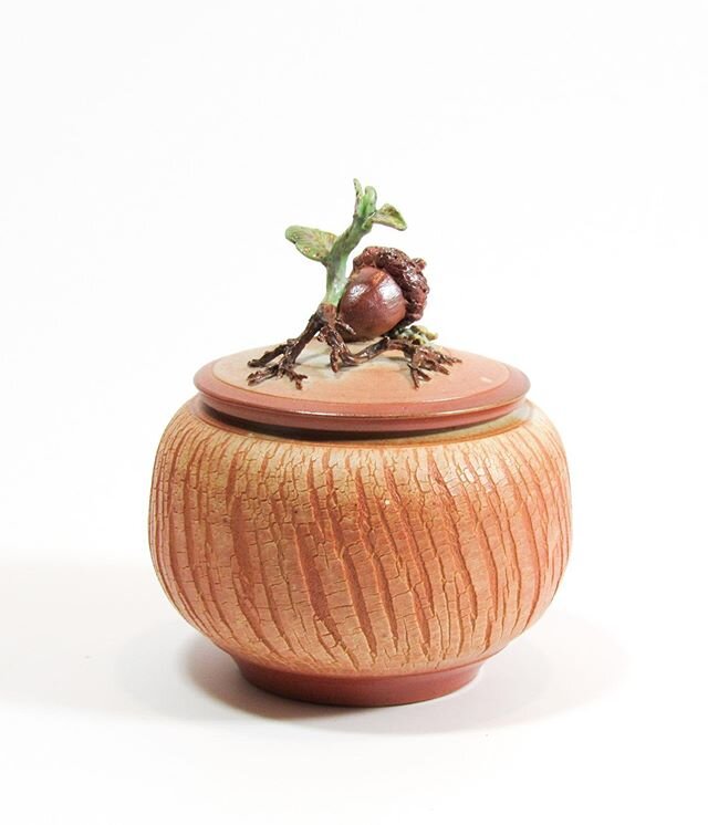 A little sprout of hope.
-
American Craft Council (St.Paul,MN) update:  Postponed to October 9-11.  I am so thankful to @craftcouncil for the postponement instead of cancellation and for the continued artist/small business support and encouragement t