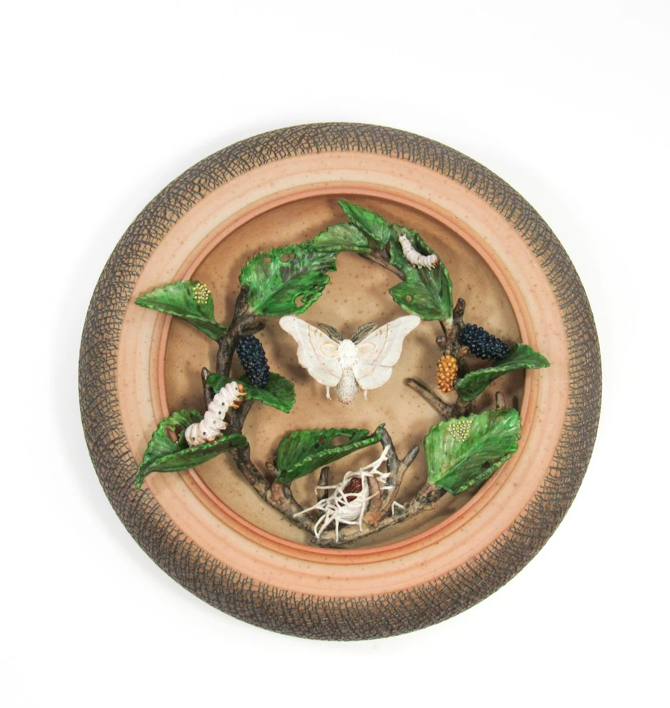 1-Maria Sibylla Merian's Silk Moth Metamorphosis with Mulberry.JPG