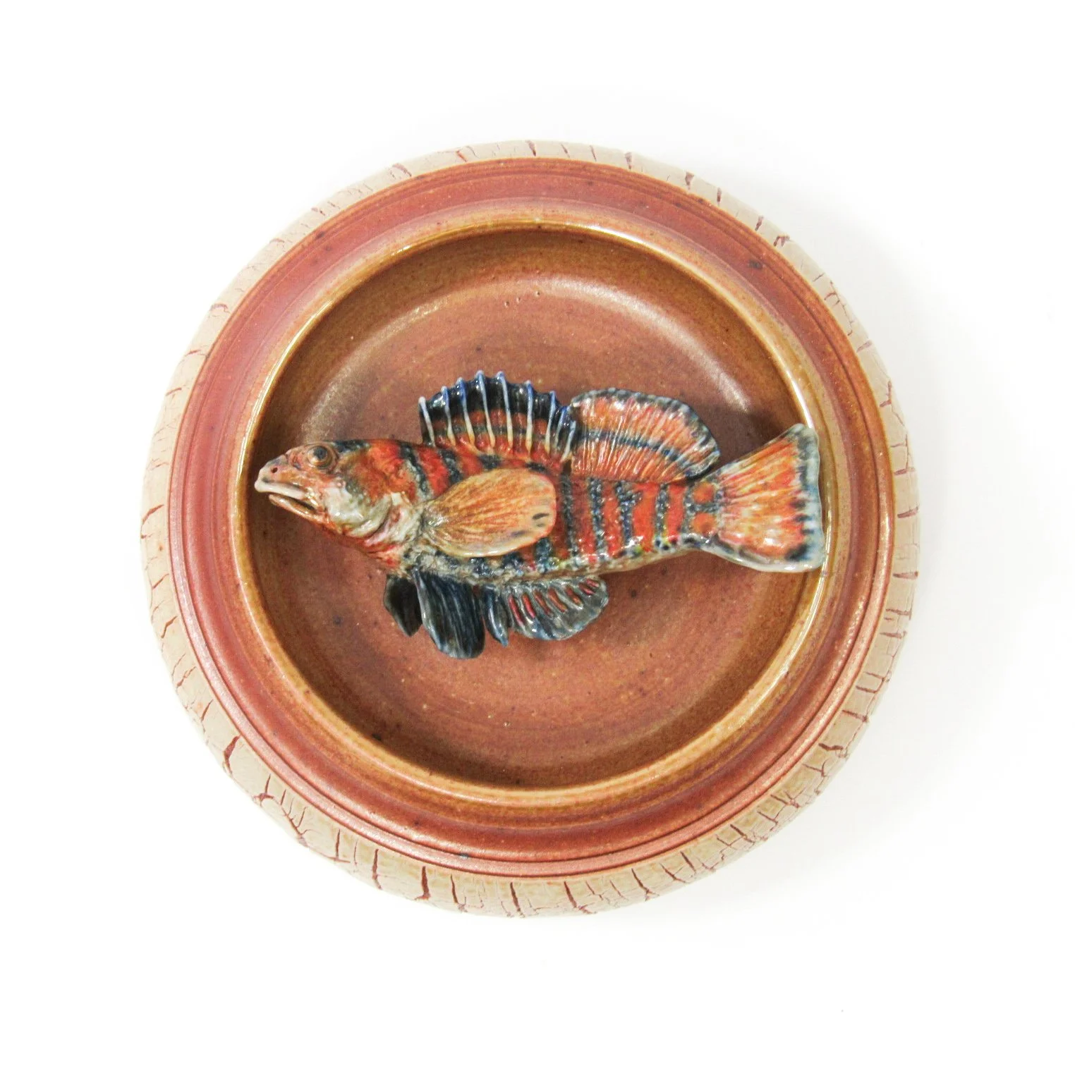 Sold- Reserved for Jean Hoppe - Darter Fish