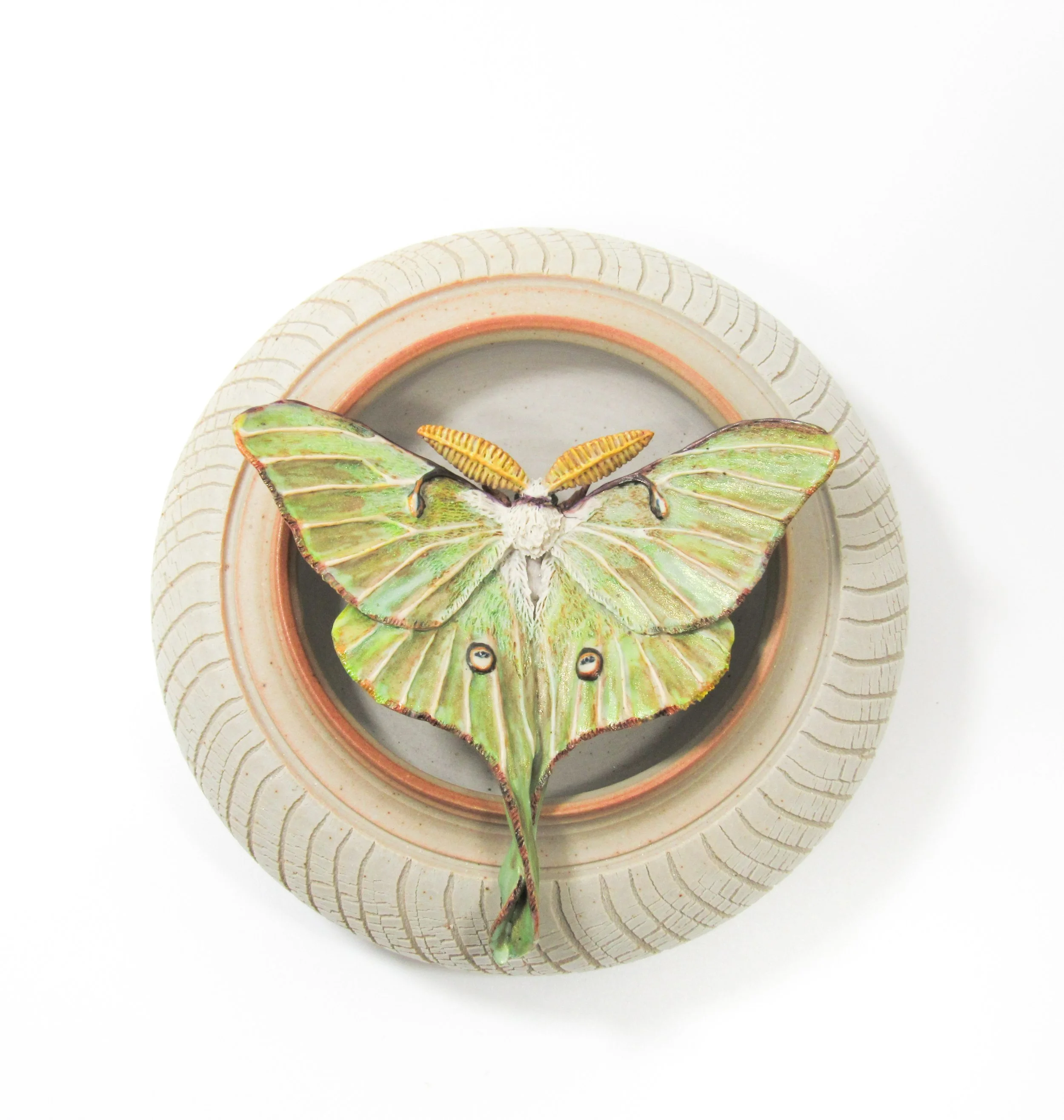 Luna Moth - wall art