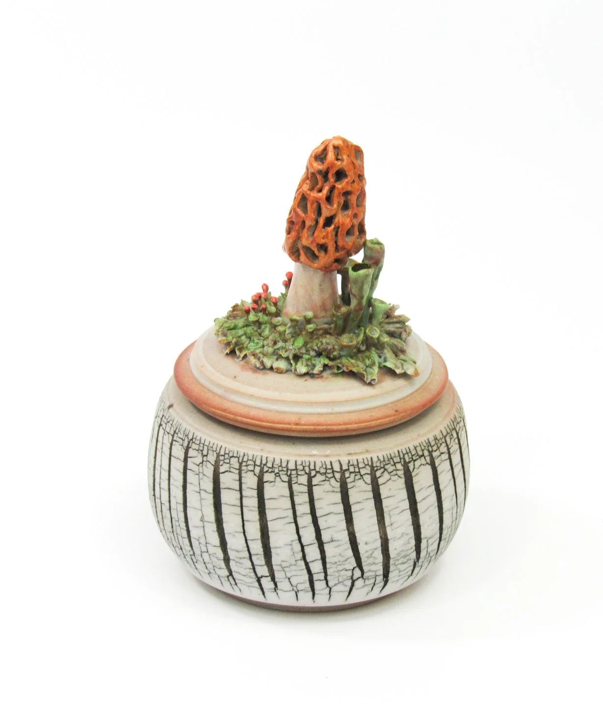 Morel