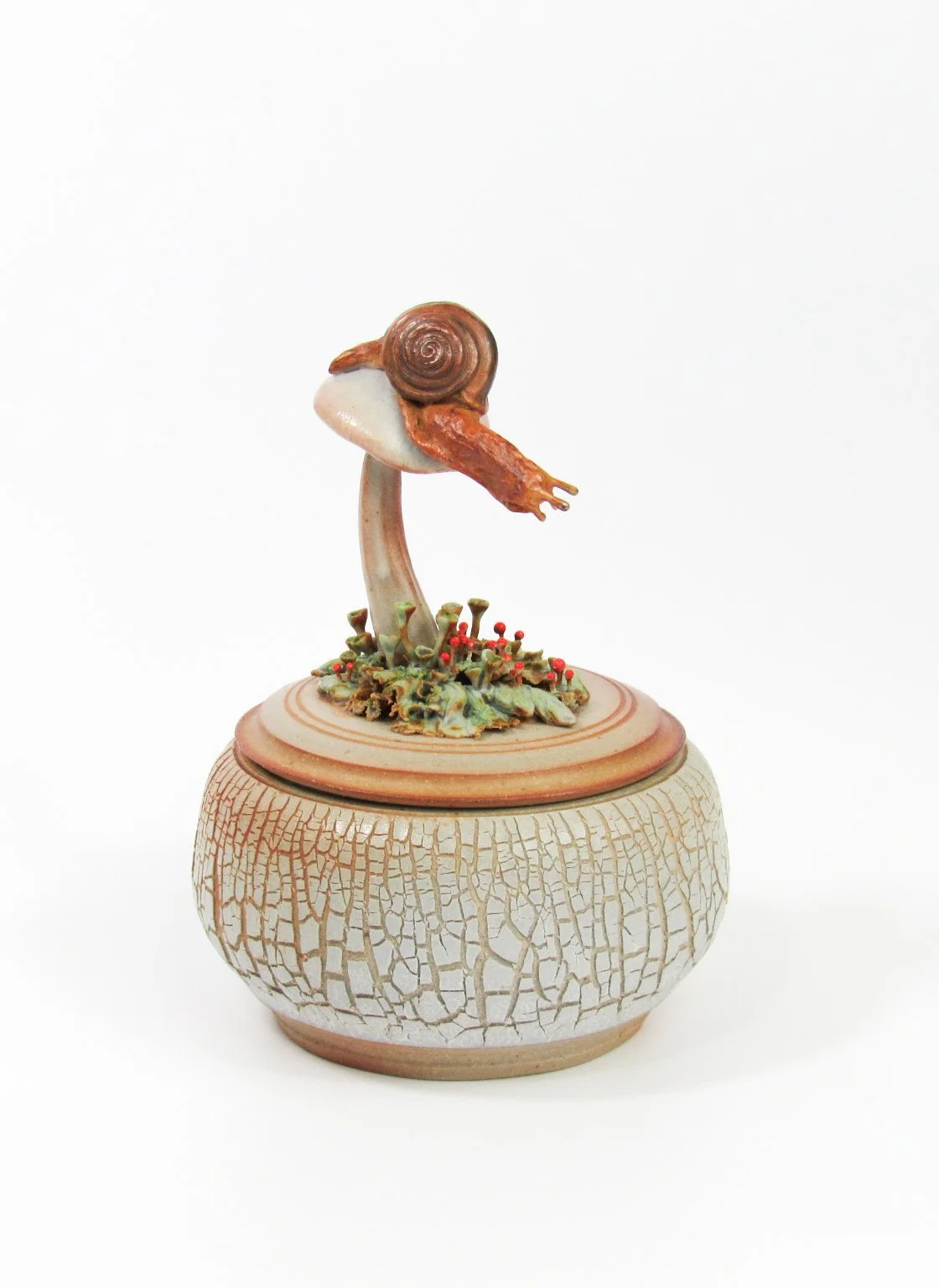 Snail Exploration
