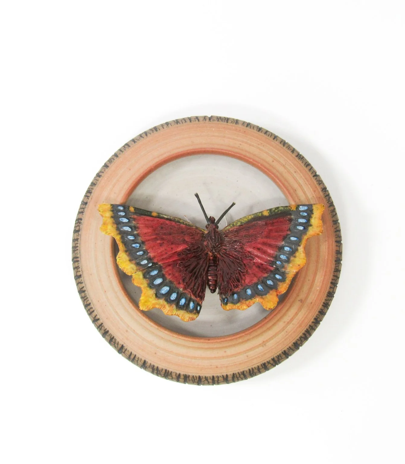 Sold - Reserved for Jean Hoppe - Mourning Cloak Butterfly