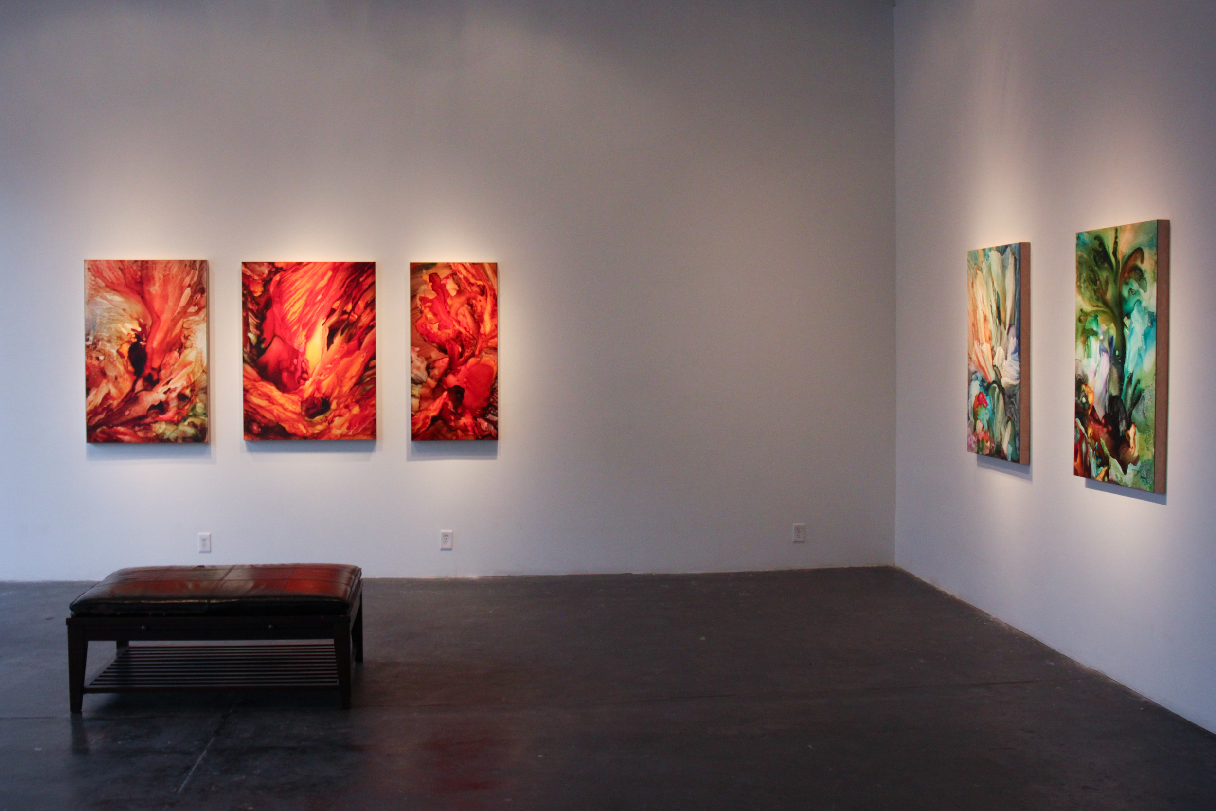 Installation Image of Davey's Light-Anemone Adventure.jpg