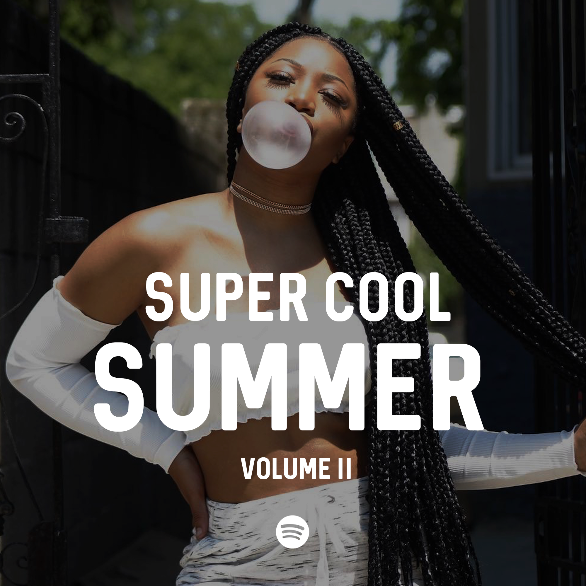 SuperCool Summer Vol 2.png