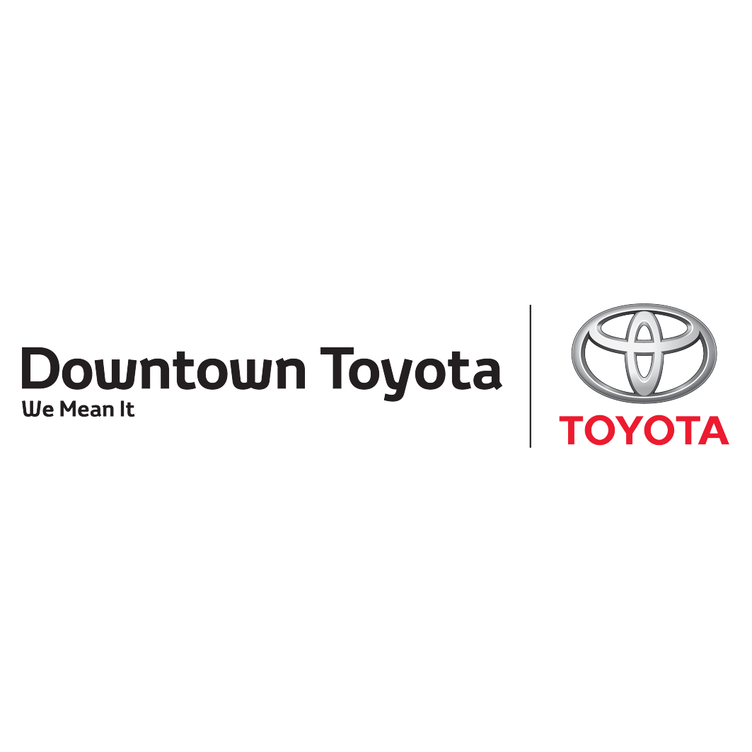 DT Toy logo.png