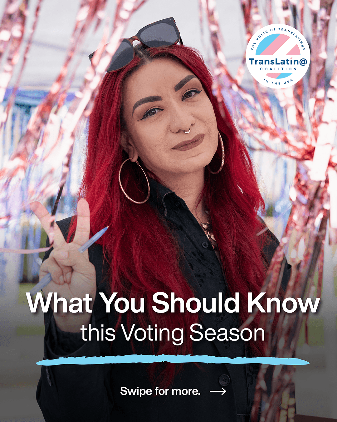 2026_Voter_Guide_v3_Slide 1-2.png