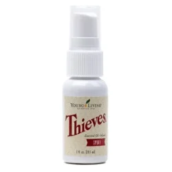 thieves.jpg