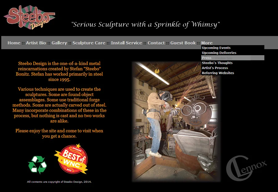  2007-2014 Steebo Business/Portfolio Website    