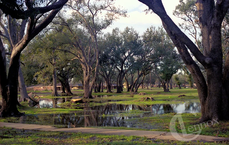 Water in the Park, 2005