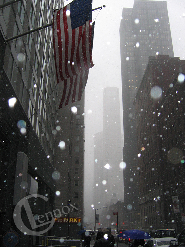 Snow in NYC, 2005