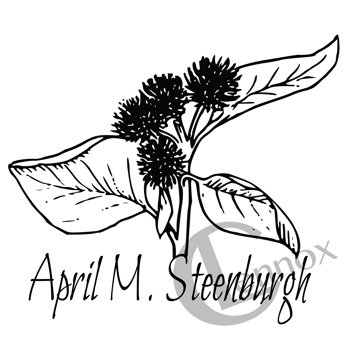  2017 April M. Steenburgh    